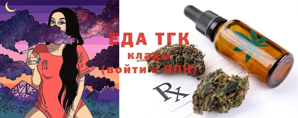индика Нязепетровск