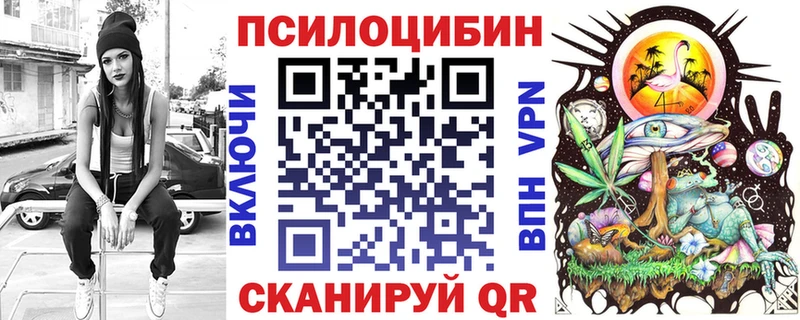 Псилоцибиновые грибы Psilocybe  где найти наркотики  Краснознаменск 